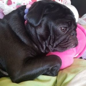 Meet your Posher, Patti